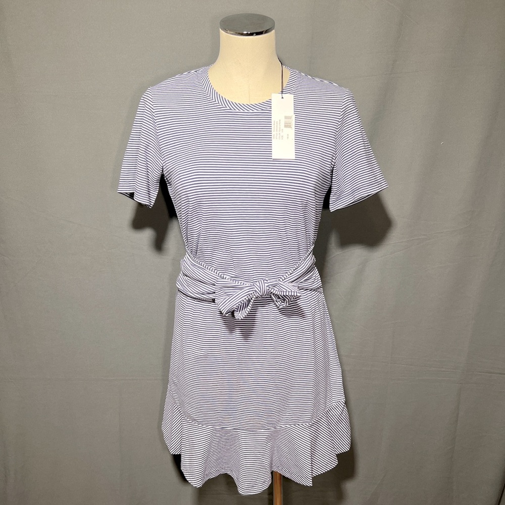 Parker NY Tessa Blue White Stripe Dress